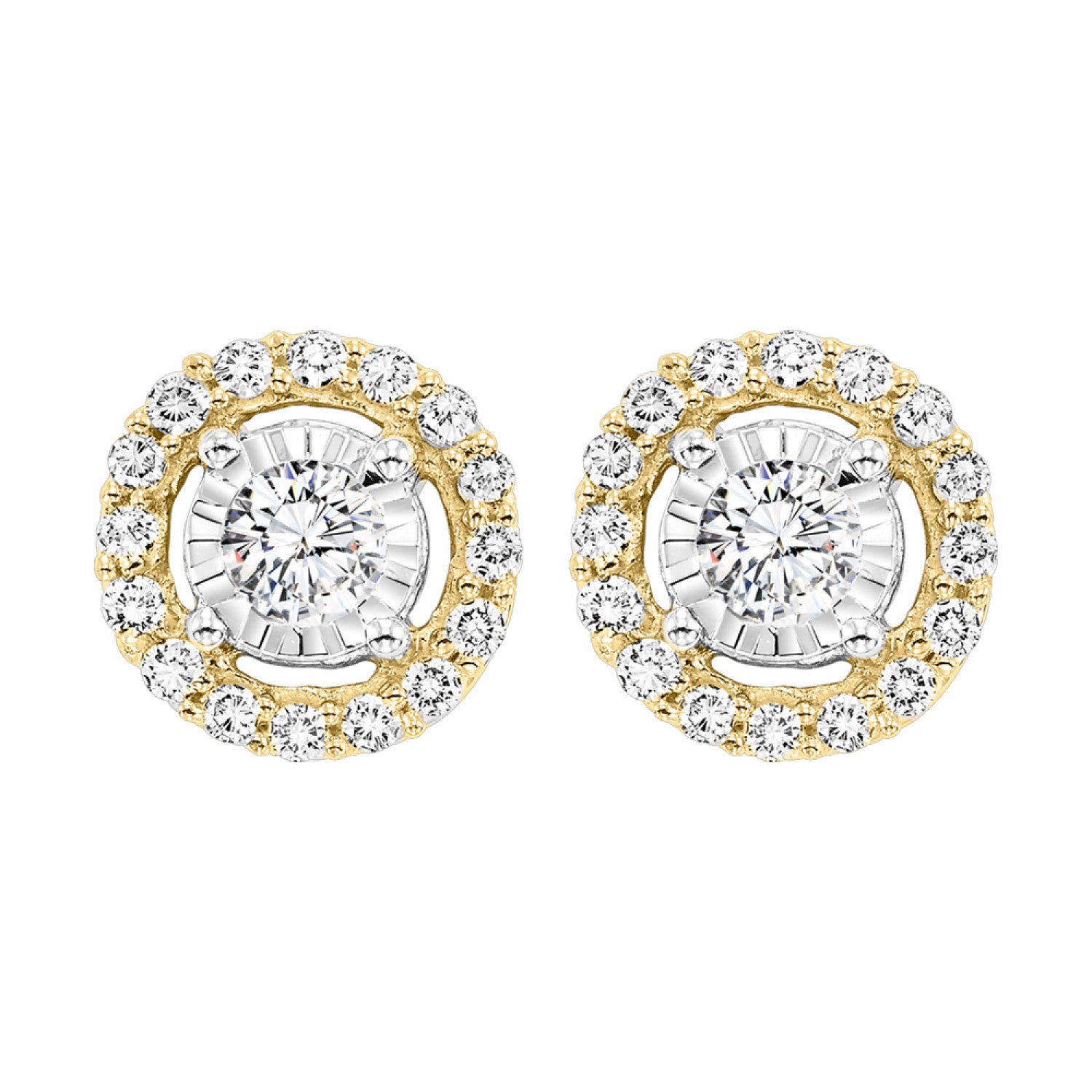 Halo Studs